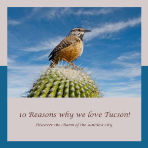 Read more about the article Discover the Allure of Tucson: Why We Love This Vibrant City