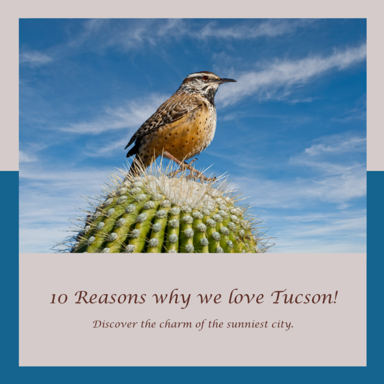 Discover the Allure of Tucson: Why We Love This Vibrant City